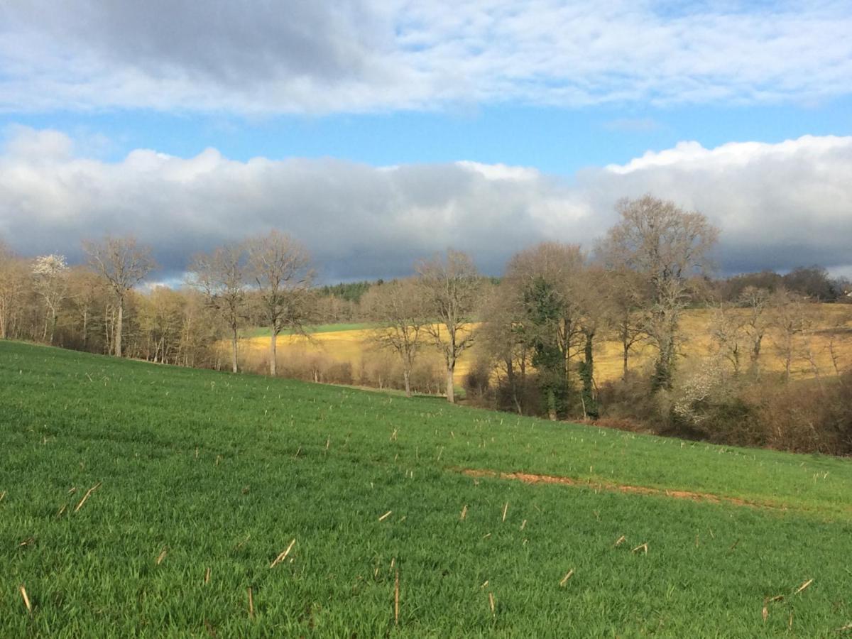 Chambre D'Hotes De La Fontagrille Epineuil-le-Fleuriel Esterno foto